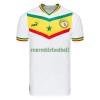 Maillot de Supporter Sénégal Domicile Coupe du Monde 2022 Pour Homme